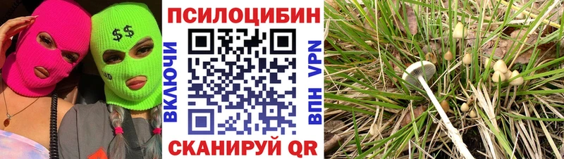 Псилоцибиновые грибы MAGIC MUSHROOMS  Купить  Обь 